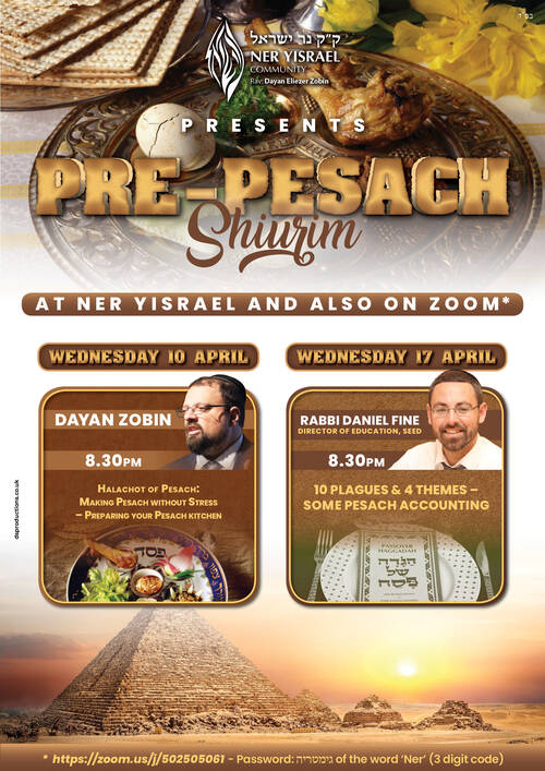 Banner Image for Pre-Pesach Shiur - Rabbi Daniel Fine - 10 Plagues & 4 Themes - Some Pesach Accounting